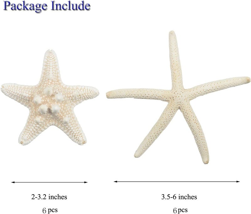 Jangostor 12 PCS Starfish 2-6 Inch Mixed Starfish Natural Seashells Starfish Star Fish Shells Decorations Perfect for Wedding Decor Beach Theme Party, Home Decorations, DIY Crafts, Fish Tank - Image 3